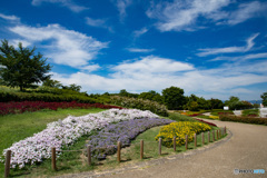 馬見丘陵公園にて撮影⑩