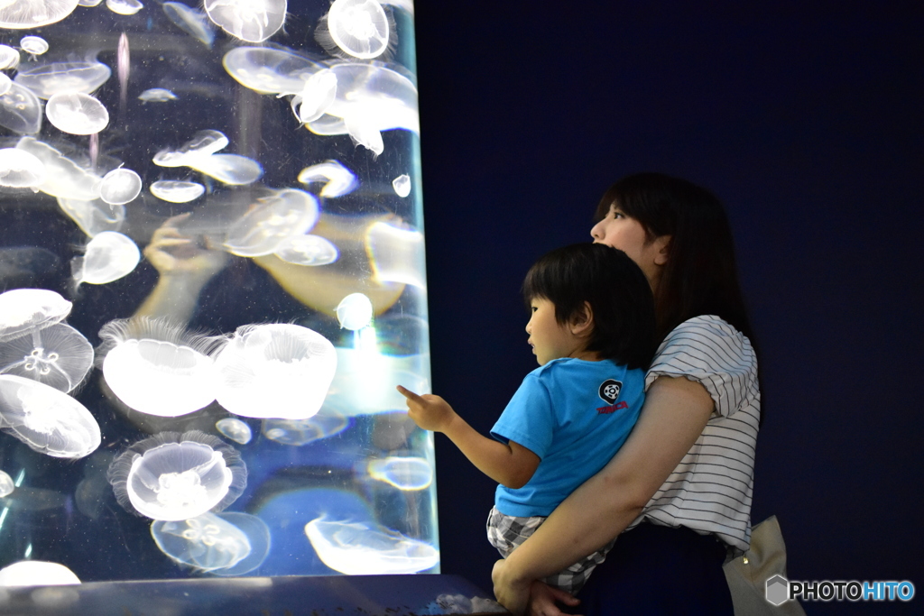 海遊館にて１