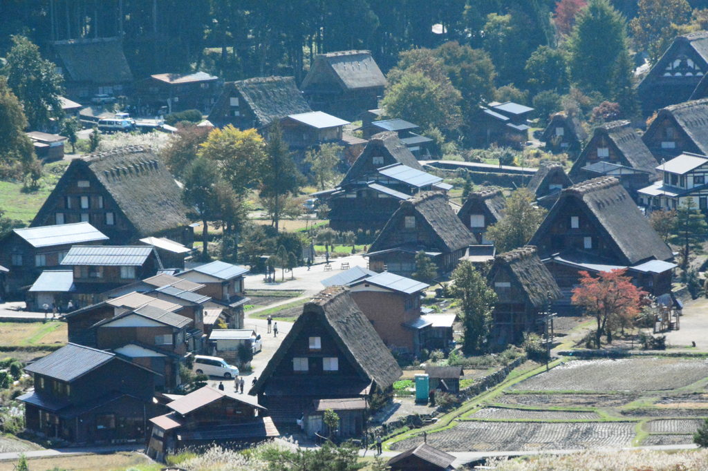 展望台から白川郷を眺める