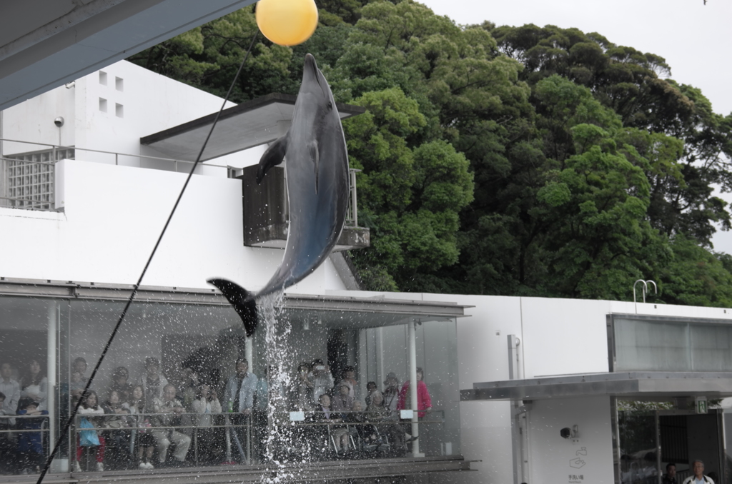 九十九島の水族館にて