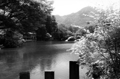 金鱗湖と由布岳