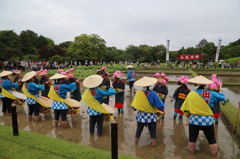 田植え太鼓