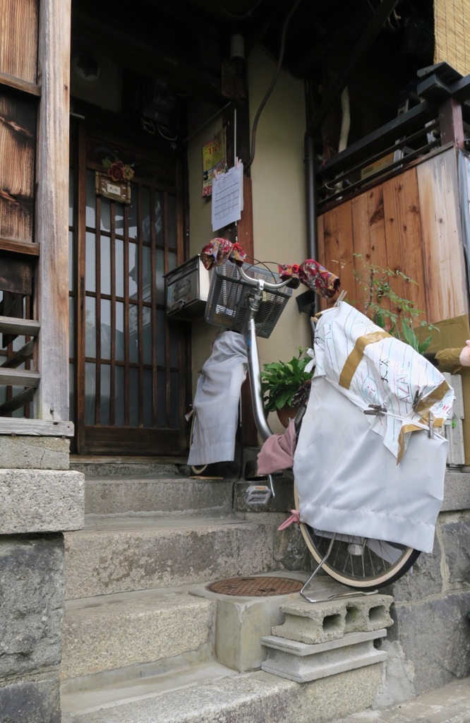 アクロバティックバイスコー