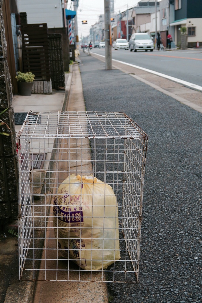 餌を