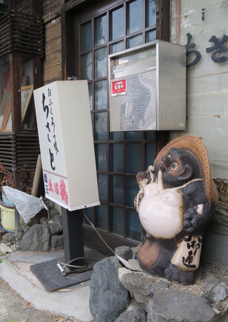 表狸