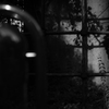 蔦