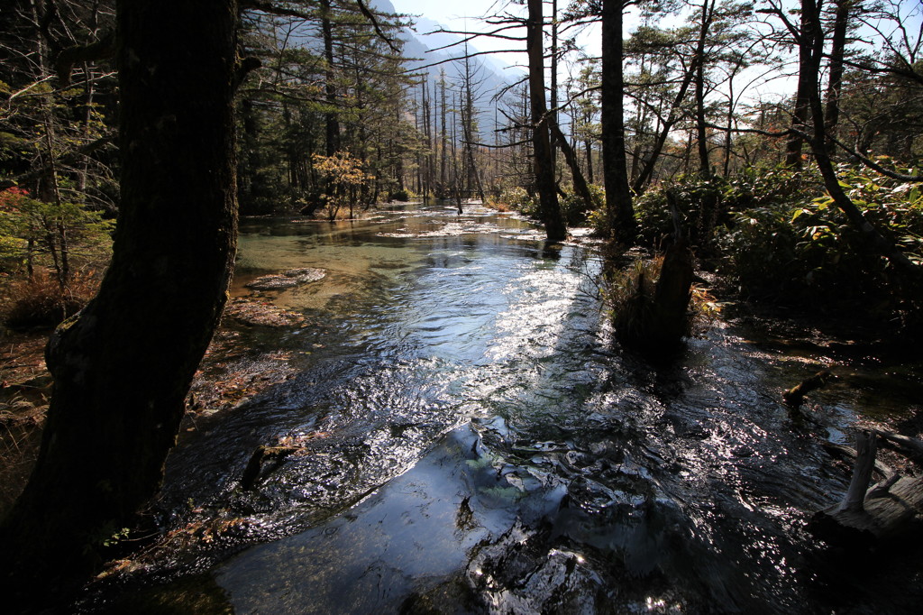 水の旅人