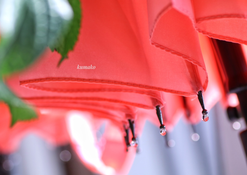 雨の記憶(雫)