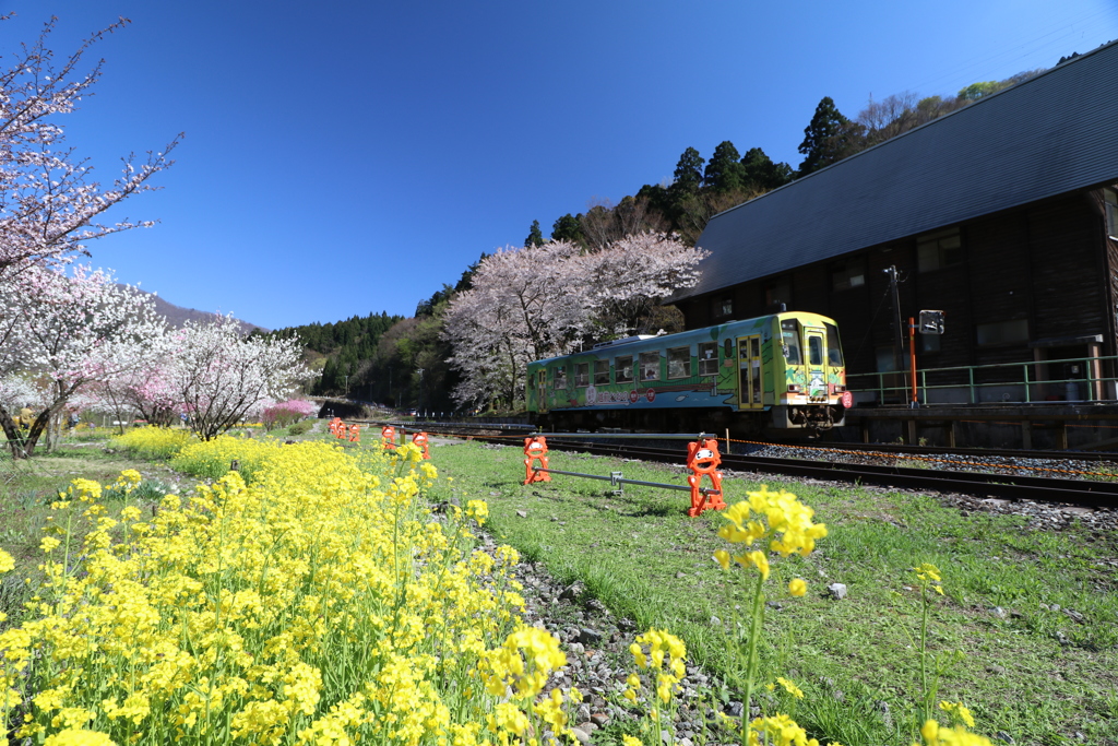 夢を乗せて 花鉄道