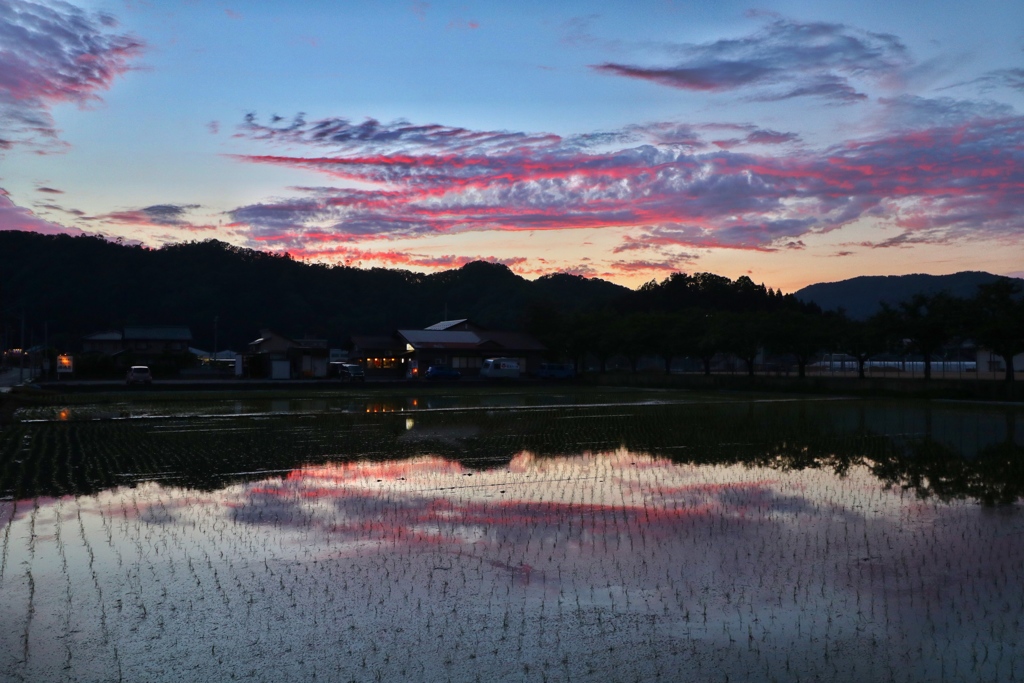 夕暮れ