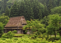 爺さまは山へ芝刈りに…婆さまは川へ撮影に…。