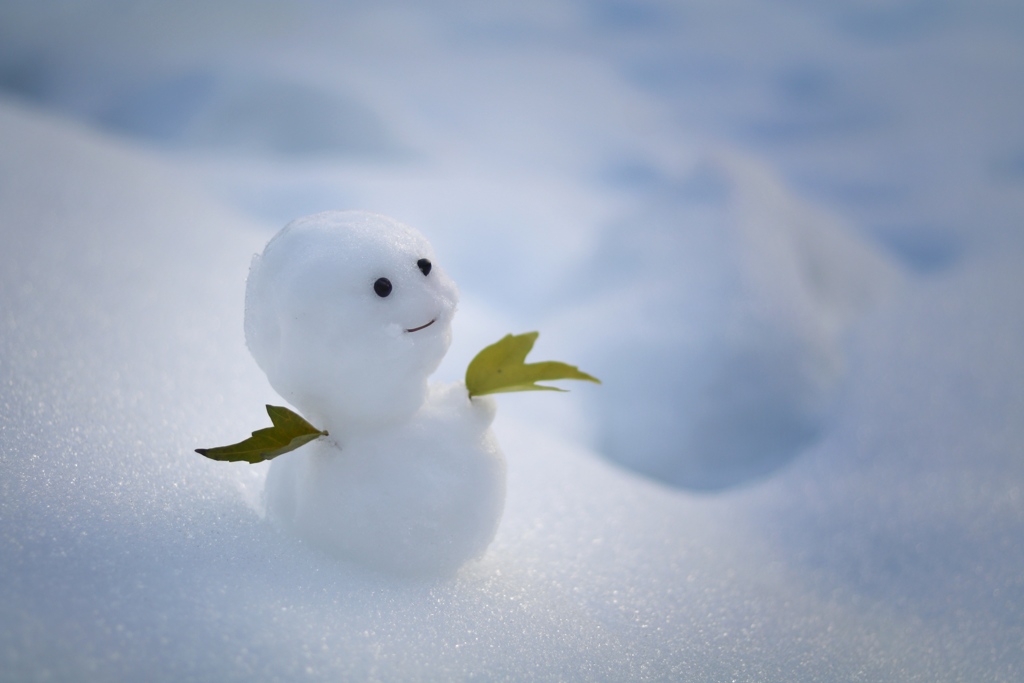 雪国の雪だるま