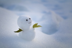 雪国の雪だるま