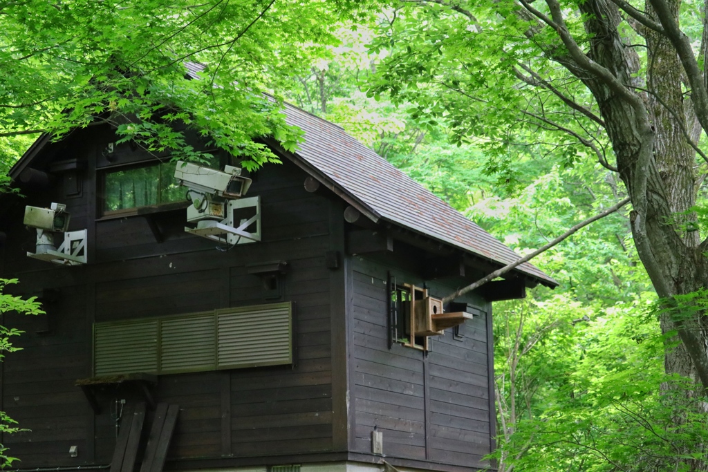 自然観察小屋