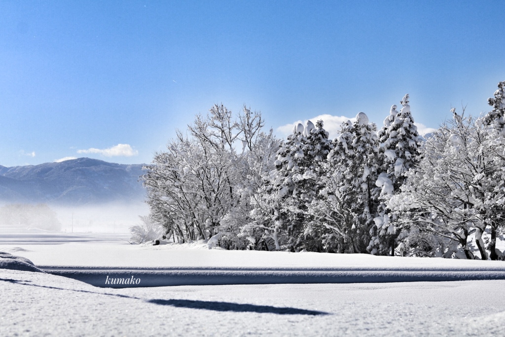 お揃いの雪化粧