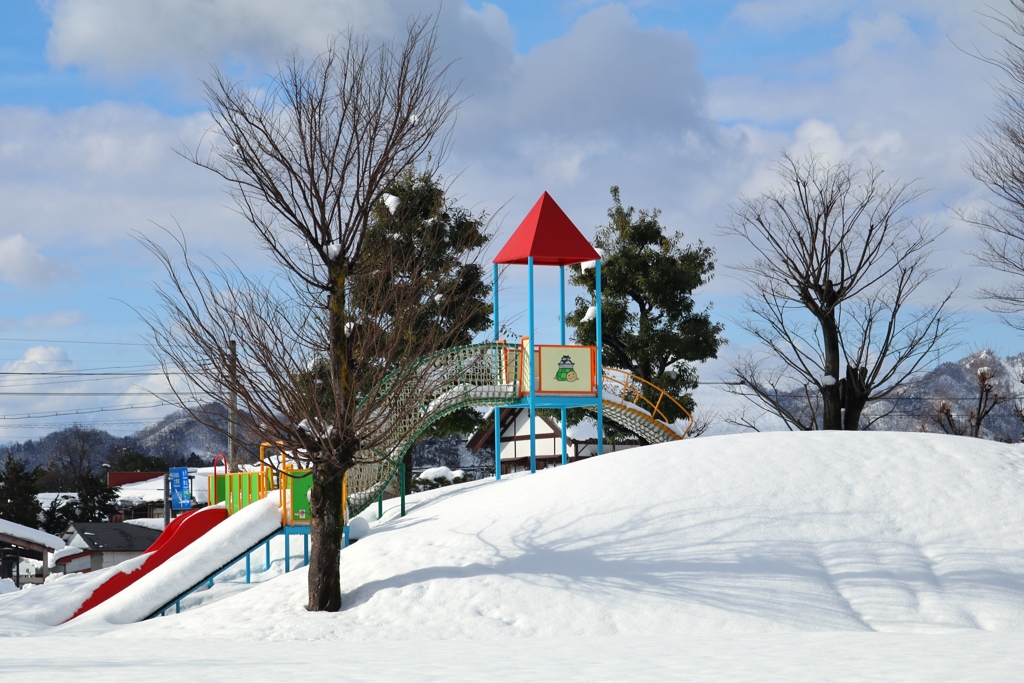 野鳥撮影の公園