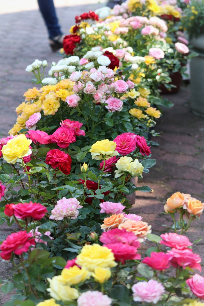 フラワーロード