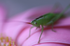目が点