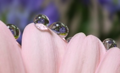 水晶玉