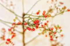 血管
