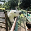 泣かないで〜。