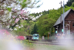 ハナモモ駅