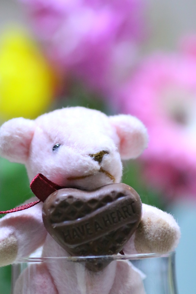 バレンタイン いつもありがとう