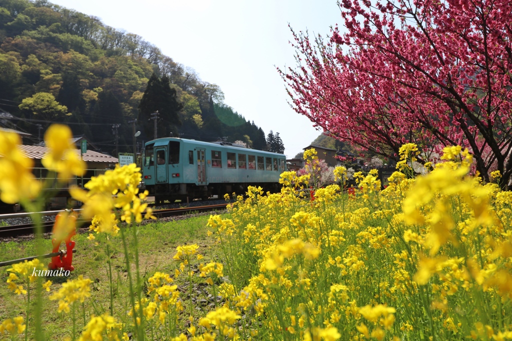 走る 走る 花盛り