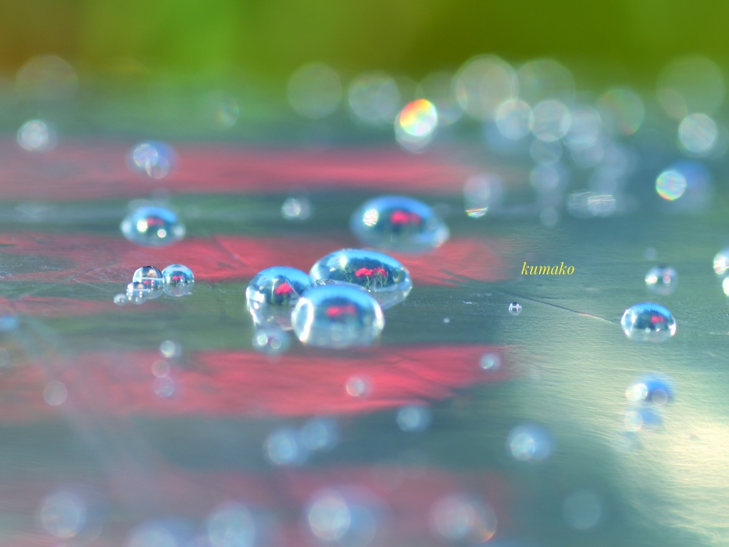 雨の贈物