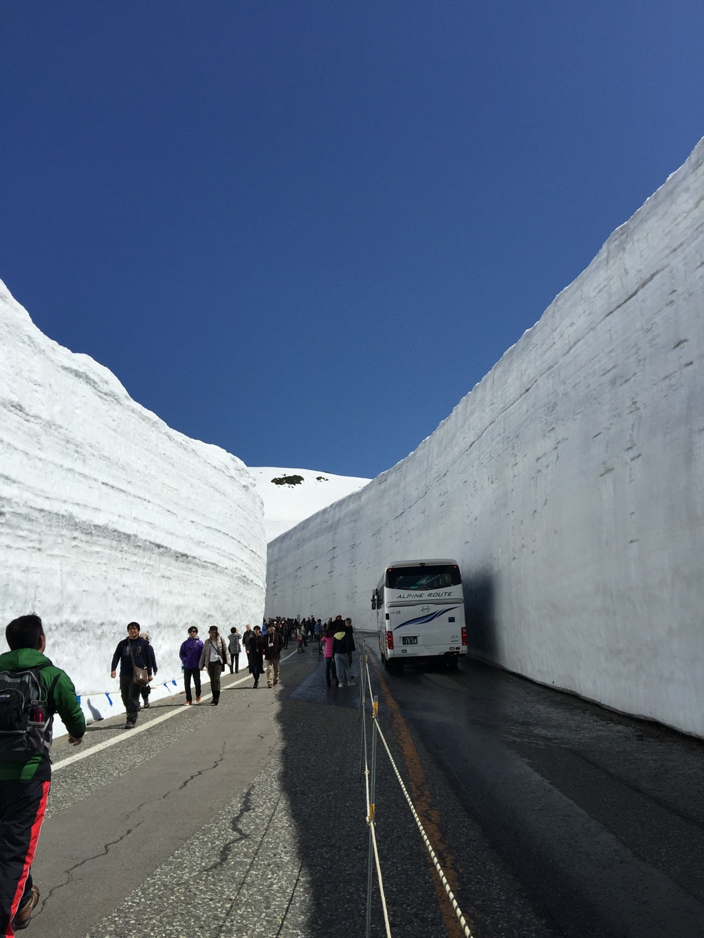 雪の大谷