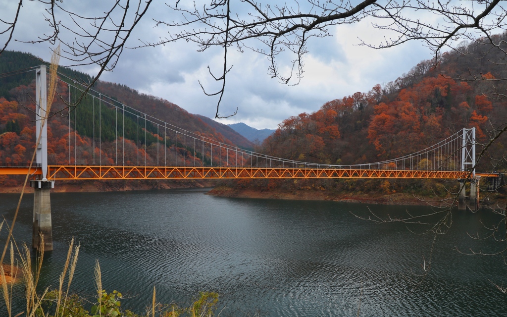 九頭竜湖 夢の架け橋