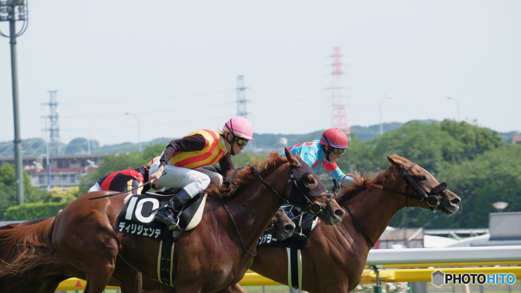 6月5日　東京競馬場