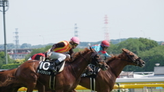 6月5日　東京競馬場