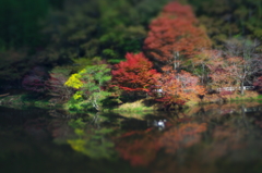 人造湖の紅葉
