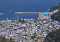 男の港
