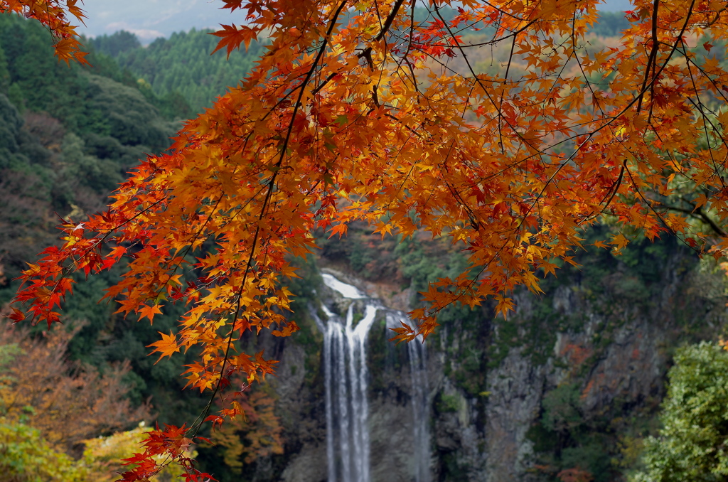 福貴野の滝（秋）