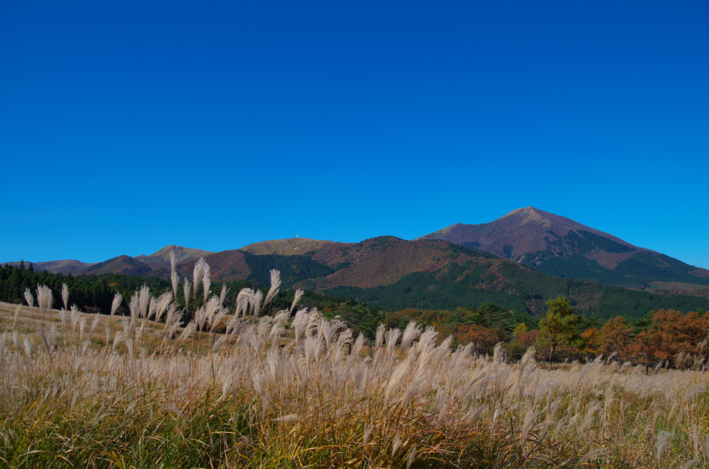 大分 涌蓋山