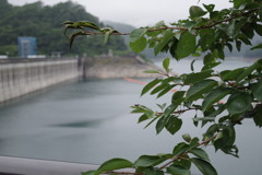 ある日の奥多摩湖