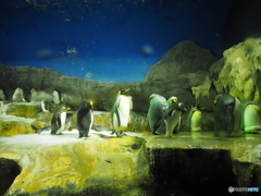 Osaka Aquarium KAIYUKAN