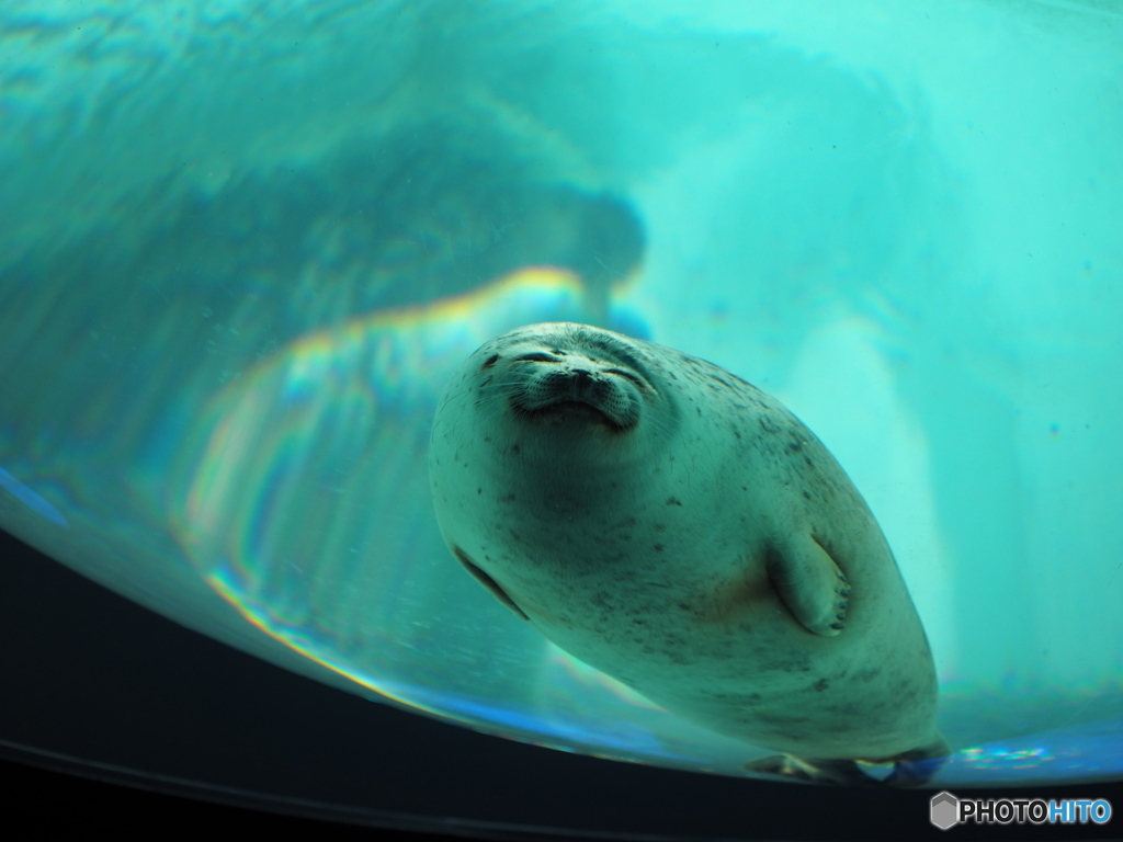 Osaka Aquarium KAIYUKAN