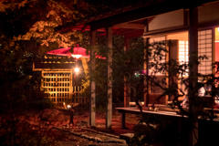 六義園その１４