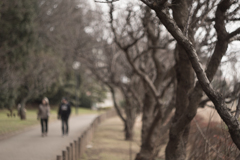 冬の公園