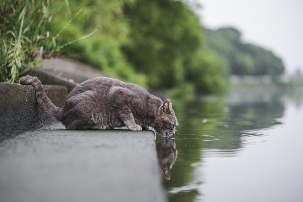 水分補給