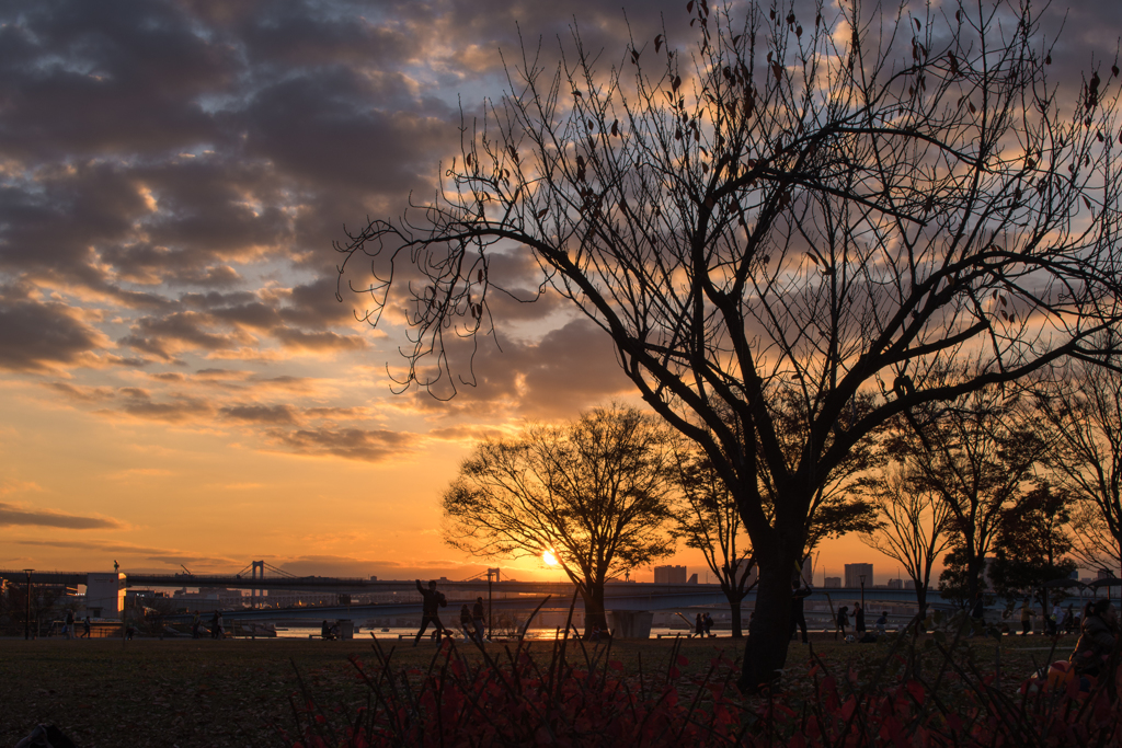 冬の夕空