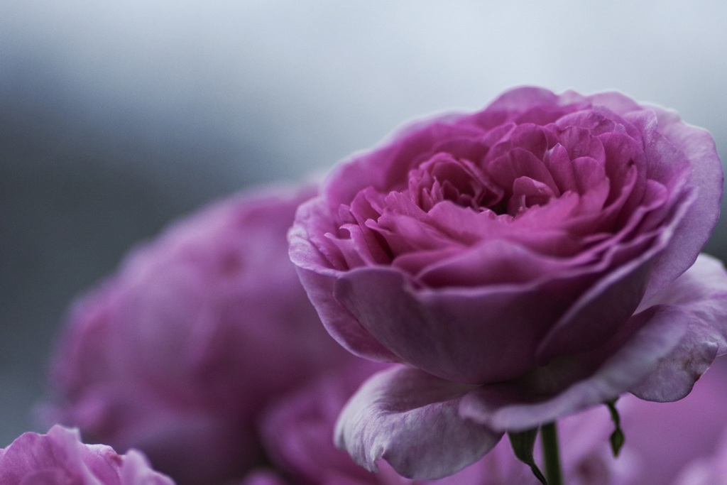 華
