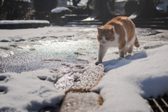 いつも通り