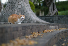 秋の公園で