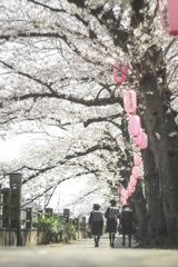 新学期