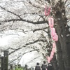 新学期