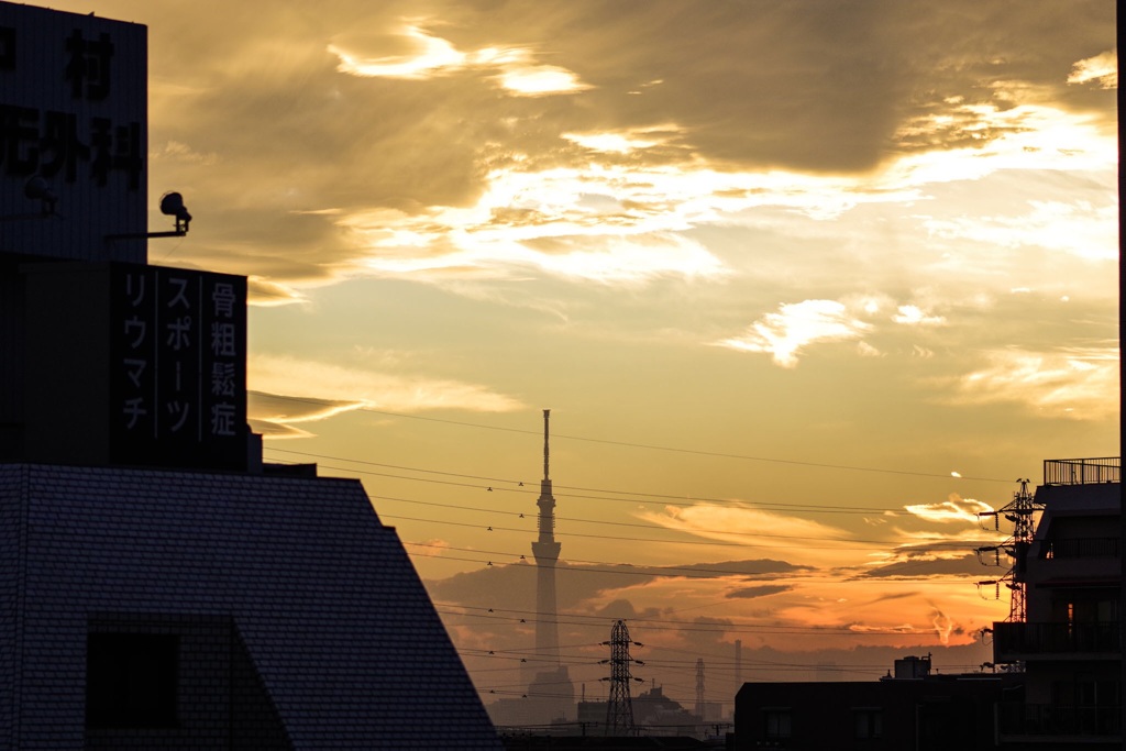 ビルの間からの夕空